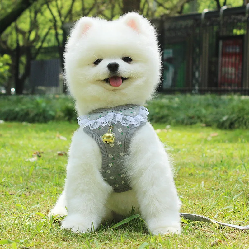 

Шлейка и поводок для маленьких собак, воздухопроницаемая нагрудная жилетка с колокольчиками, цепочка для собак и кошек