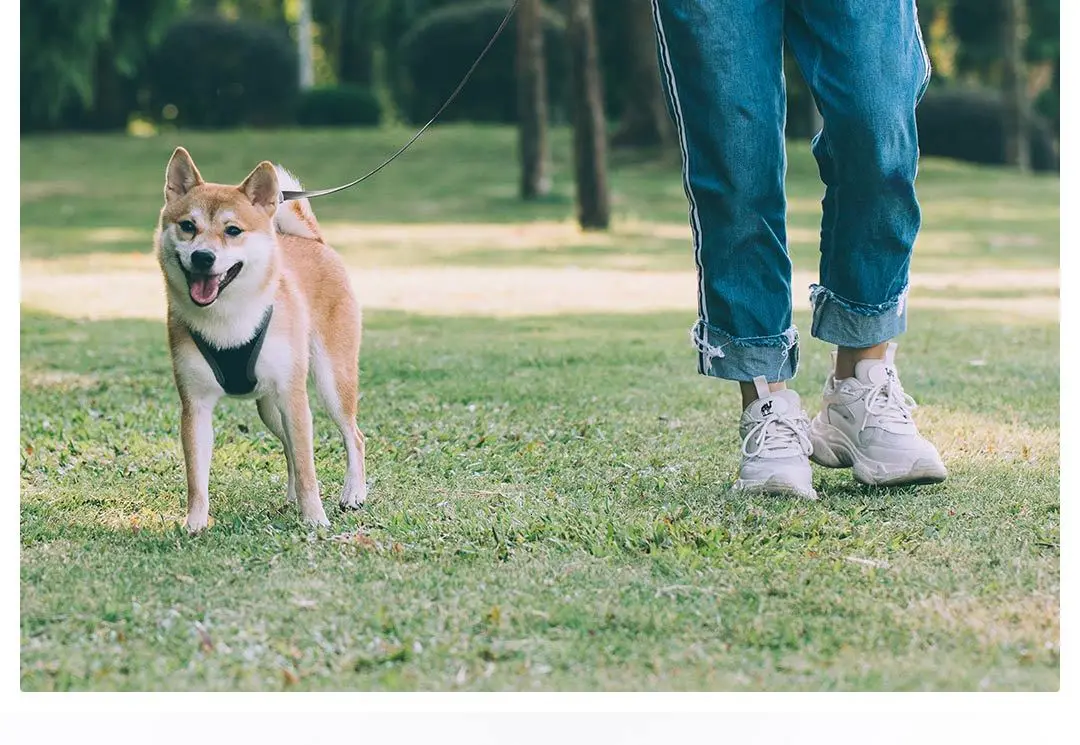 Xiaomi Pet Телескопический тяговый трос гибкий замок безопасности автоматический разматывающийся прочный Xiomi трек веревка для домашних животных 5 м