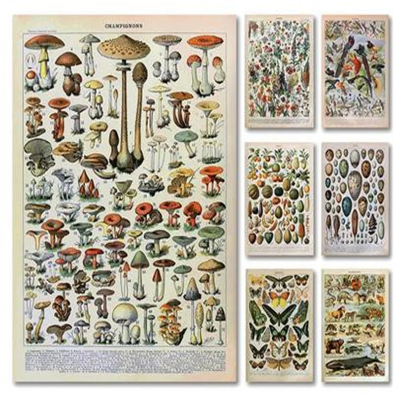 

Vintage Palaeobios Plant Insect Butterfly Poster Encyclopedia Reference Chart Diagram Illustration Canvas Poster Home Decor