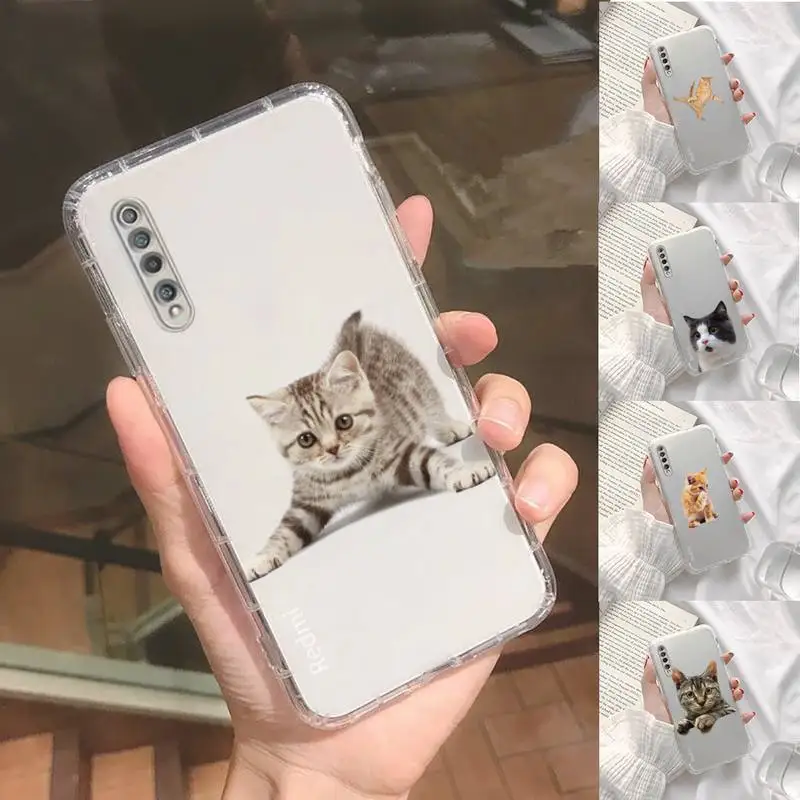 

cat Phone Case Transparent For Xiaomi Redmi K30 10T 10X 9 9A 8 8A 7 7A 6 K40 T S PRO 5G