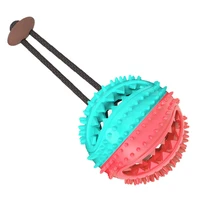 dog toys no suction cup tug interactive dog ball toy for pet chew bite tooth cleaning toothbrush feeding pet supplies