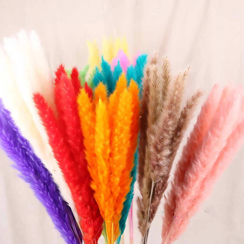DIY Bulrush Натуральные Сушеные маленькие Pampas трава Phragmites домашнее рождественское