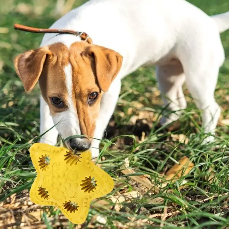 Puppy Bite Resistance Rubber Toy Wear-resistant Pentagram Round Shape Interactive Dog Snack Pet Training Supplies |