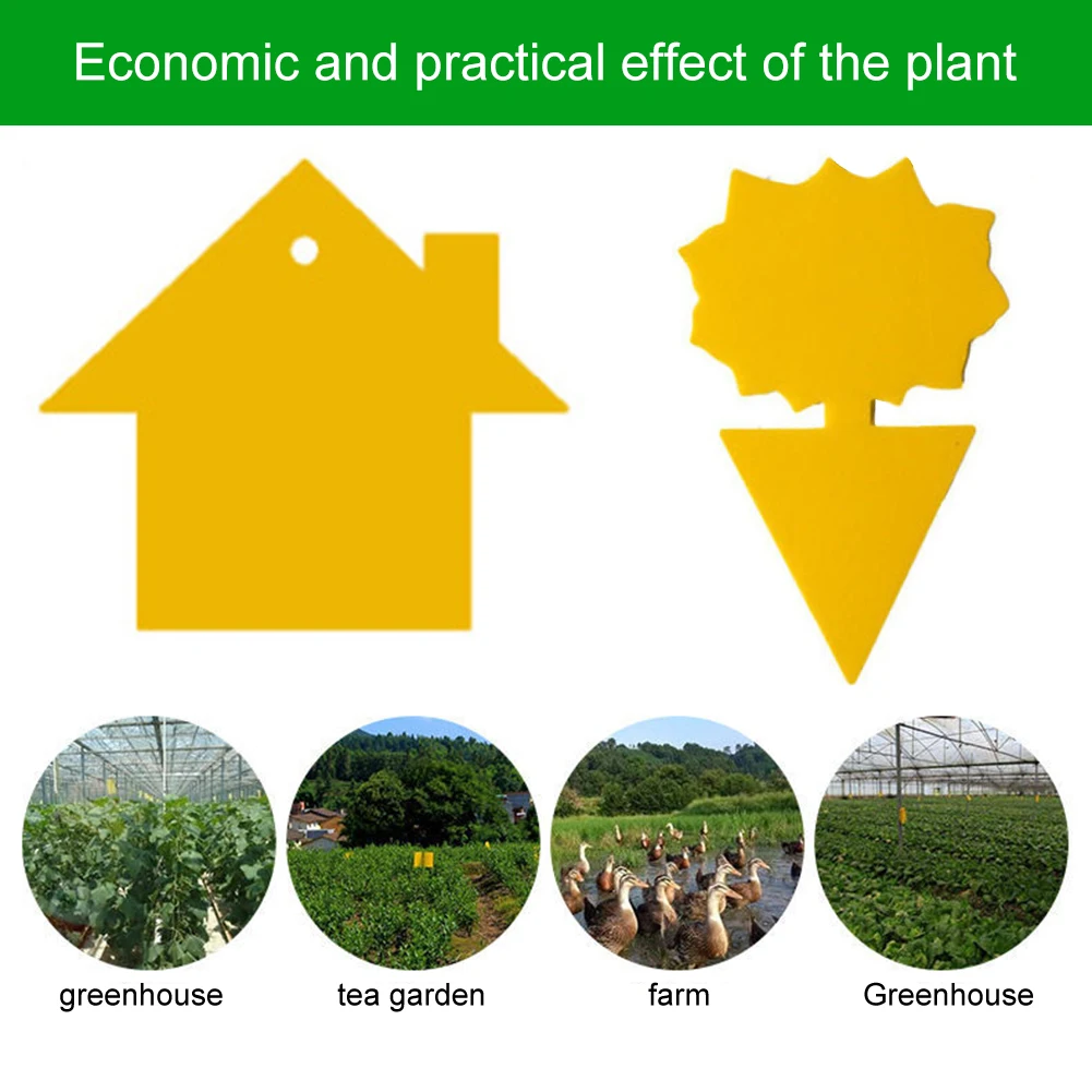 

Multifunction Tools Sticky Board Double-sided Sticky Board Flies Trap Board Insect Killer Pest Control Sticker