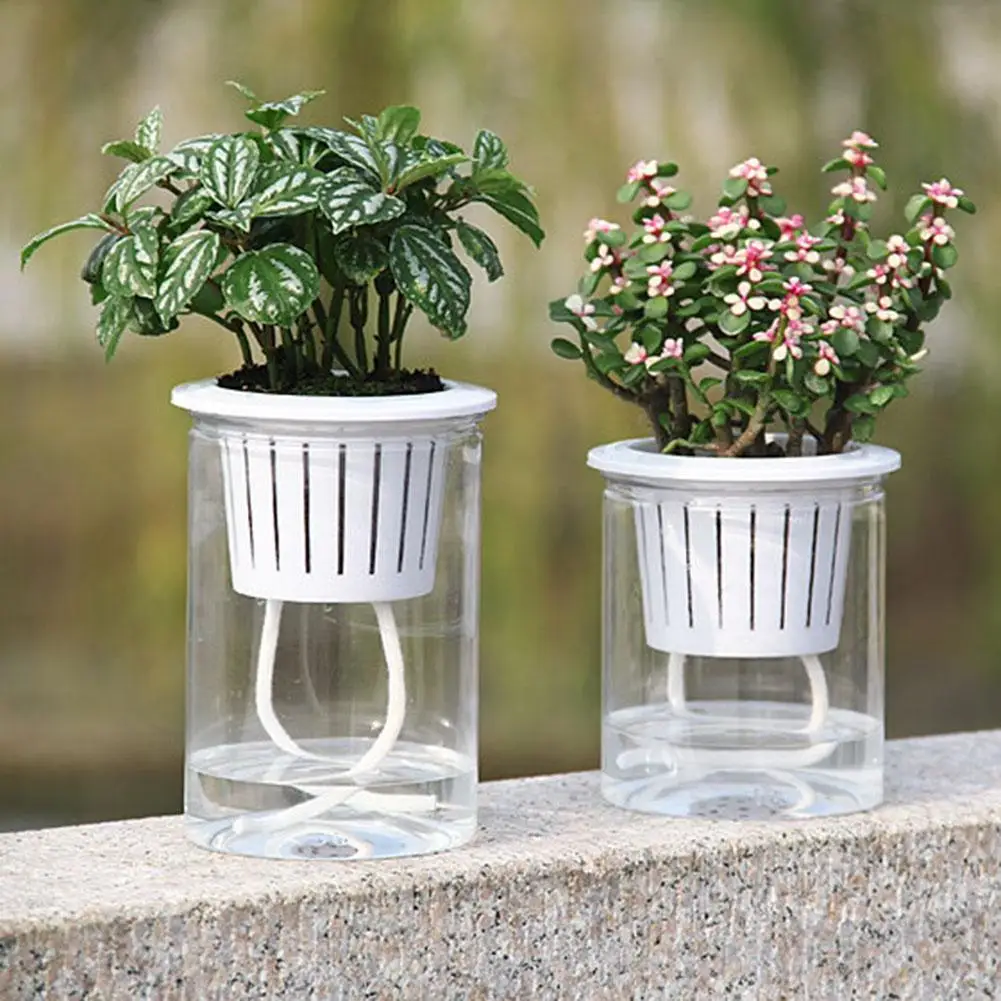 수경 재배 시스템 가장 저렴한 순위 TOP 10 10 10 8-product-image
