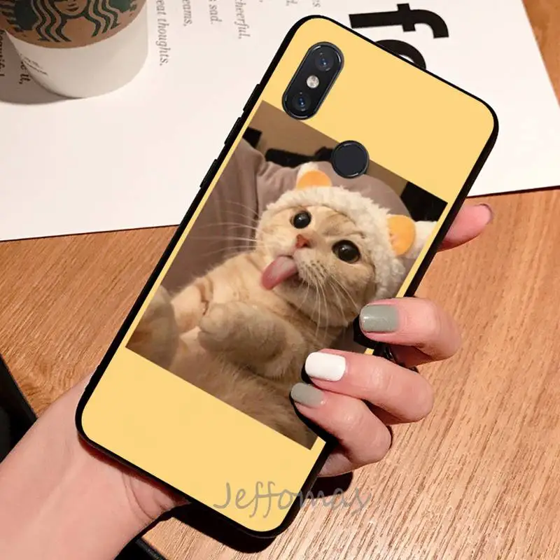 

Cat funny cute literature Phone Case For Xiaomi Redmi note 7 8 9 t max3 s 10 pro lite