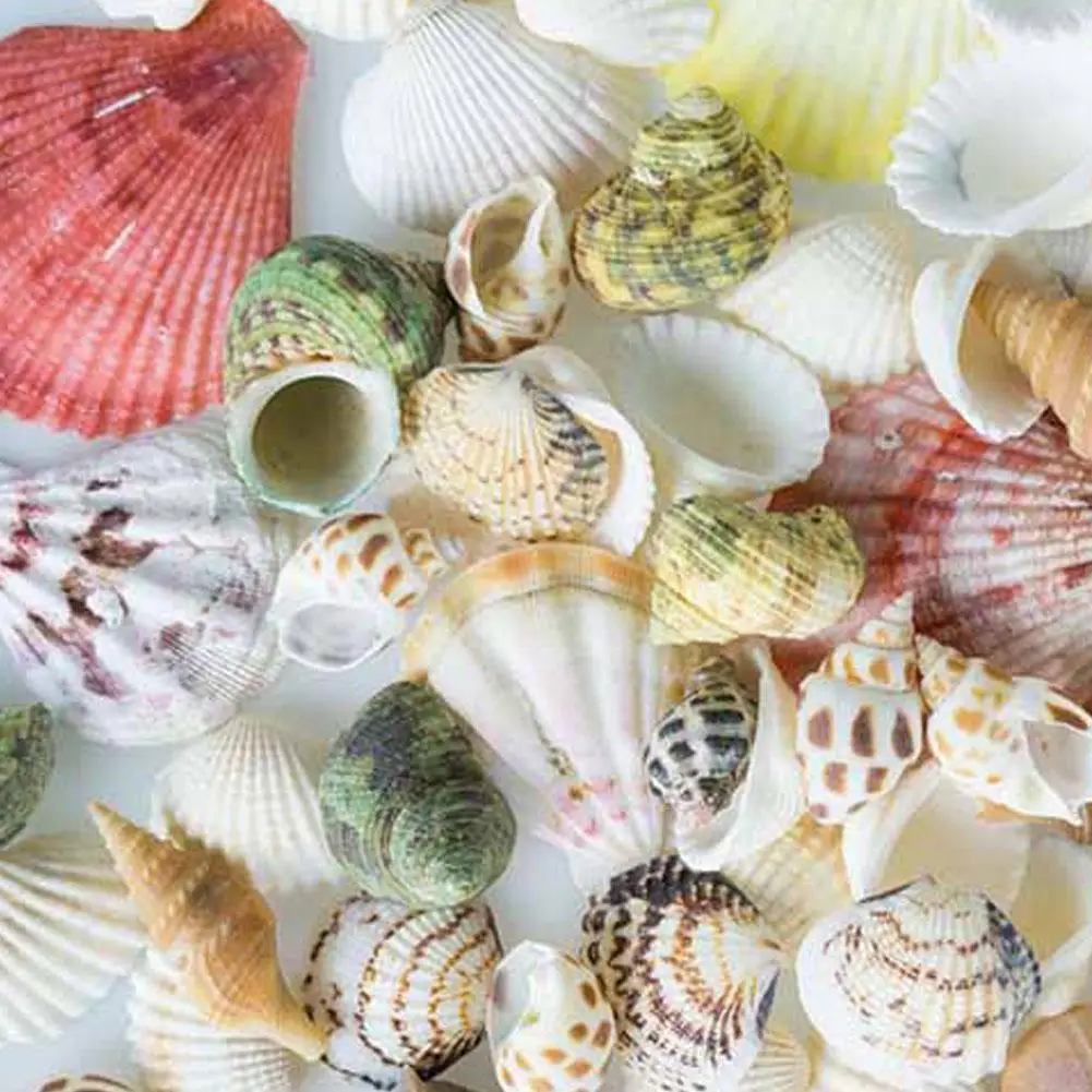 

100g/pack Natural Seashell Mix Sea Shells Conch Diy Micro Landscape For Garden Fish Aquarium Decoration Home Ornaments R7n3