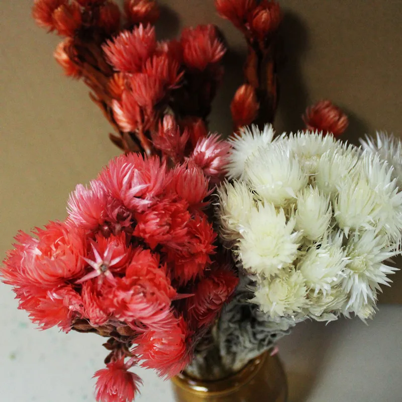 

30cm Nordic Style Plant Floral Decoration Wedding Easter Home Christmas DIY Posing Immortal Anemone Rock Dried Flower Bouquet