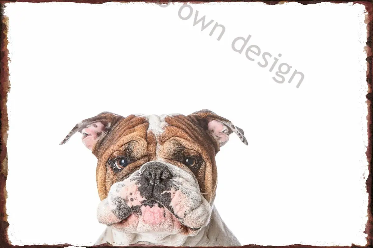 

Винтажный металлический знак Aussie Bulldog в стиле ретро, оловянные таблички, Настенный декор, украшение для комнаты, художественная Клубная муж...