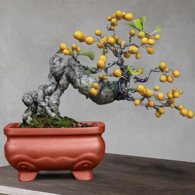 Однотонный Фиолетовый Глиняный цветочный горшок в стиле ретро маленький цветок