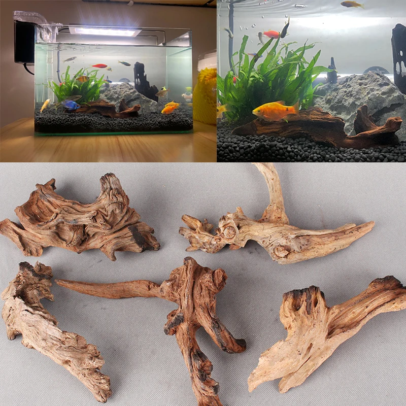 Рыбка в корягах. Декорация из дерева в аквариуме. Подиумы для рептилий из дерева. Лазалка для ящериц.