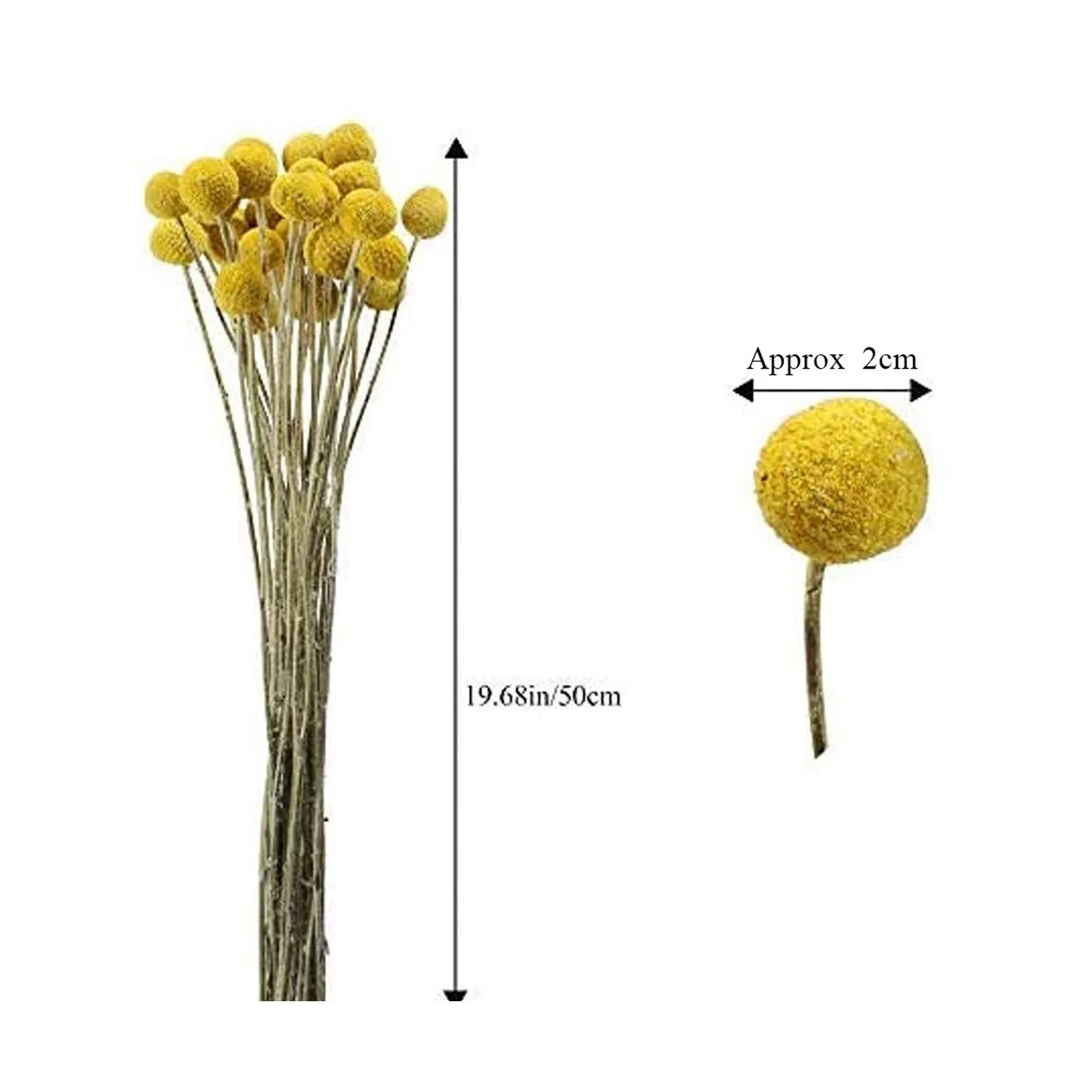 

30pcs Dried Craspedia Dried Flowers Billy Button Balls Artificial Flowers Fake Silk Yellow Flowers For Decor Room Decoration