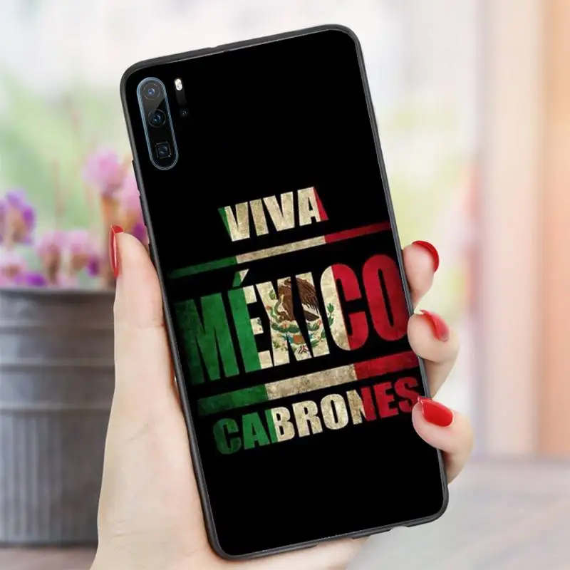

Mexican National flag sign Phone Case For Huawei honor Mate P 10 20 30 40 i 9 8 pro x Lite smart 2019 nova 5t