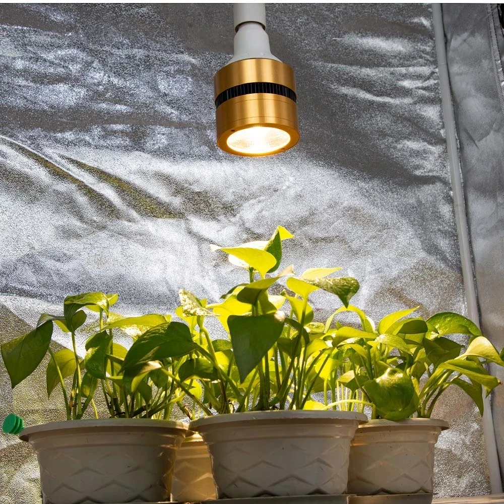 COB LED Grow Light Bulb 150W 3500K Full Spectrum LED Plant Grow Lamp 110V 220V for Indoor Plants Greenhouse Veg Bloom Flowering