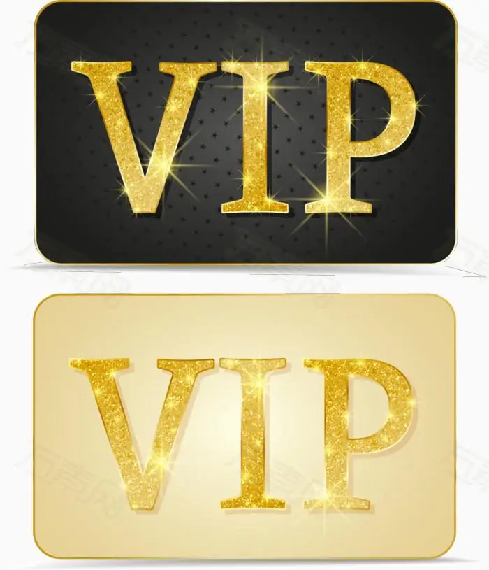 

VIP CHALLENGE COIN