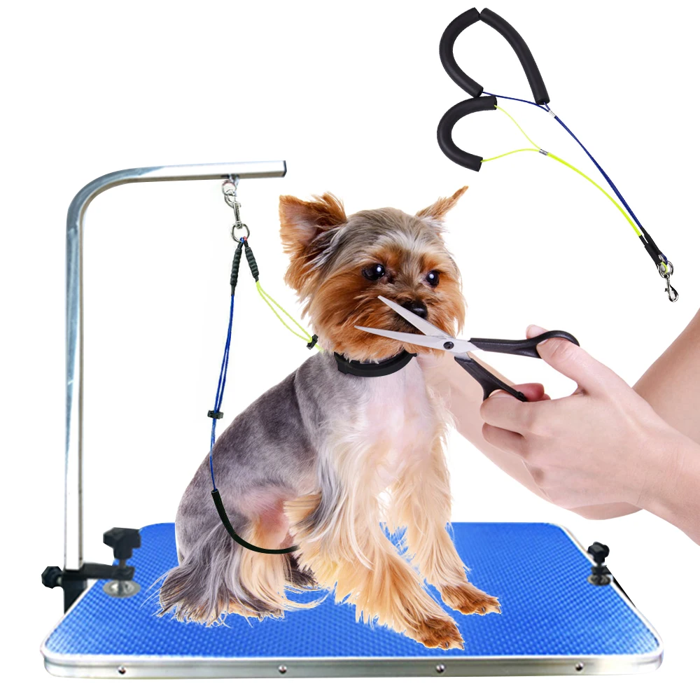 PAPASGIX 2020 новый держатель для домашних животных поводок ухода за собаками и