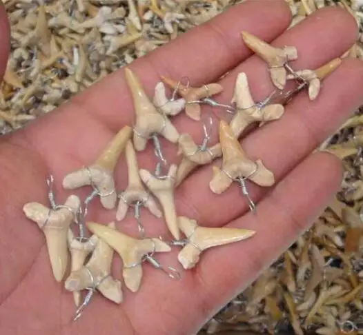 Горячая Распродажа A + кулон с натуральным акульим зубом энергетический apotropaic 1 г-3