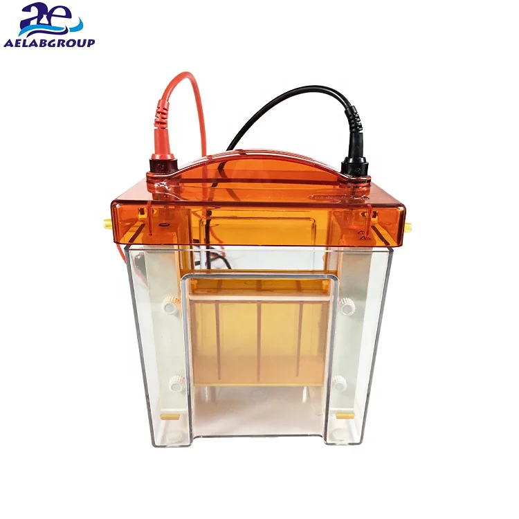 

Price Of Vertical Hemoglobin Gel Equipment Electrophoresis Apparatus