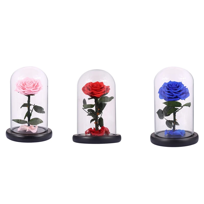 

Glass Cover Fresh Preserved Rose Flower Barbed Rose Flores For Wedding Marriage Home Party Decoration Valentine'S Day Gift