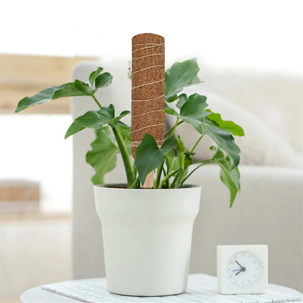 Coir Totem Pole 12 дюймов Moss Stick для поддержки Крипера кольцо s прочная подставка