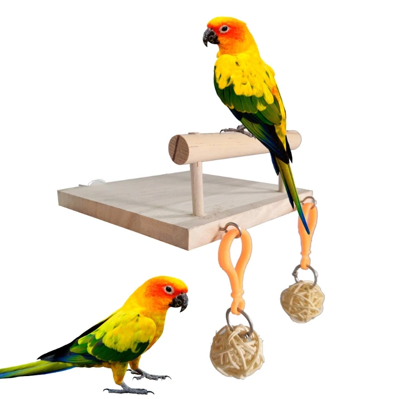 

Искусственная подставка, платформа, натуральная зернистая лапа, шлифовальная клюва, чистый захват для домашних животных, попугая, буддинг, ...