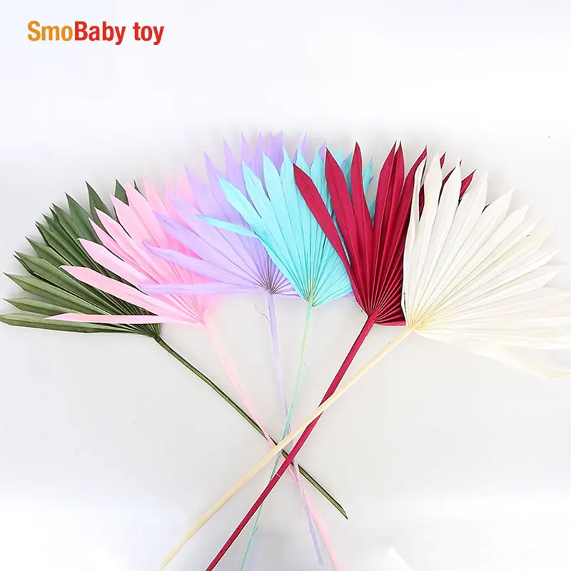 

18-35cmNature Dried Fan Palm,Eternelle Display Arrange Flower Art Home Parlor Wedding Decoration Accessories,Bedroom Decor