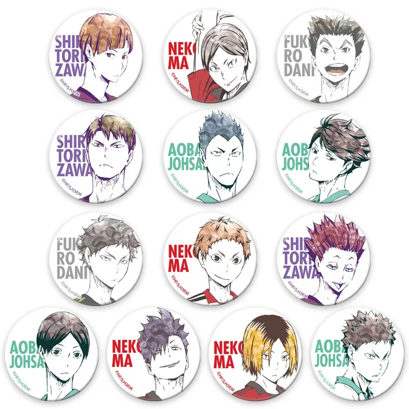 

13 Pcs/set Anime High Kyuu!! Enamel Pin Volleyball Boy Tsukishima Firefly Sun Xiang XCosplay Bedge Cartoon Bags Badge Brooch