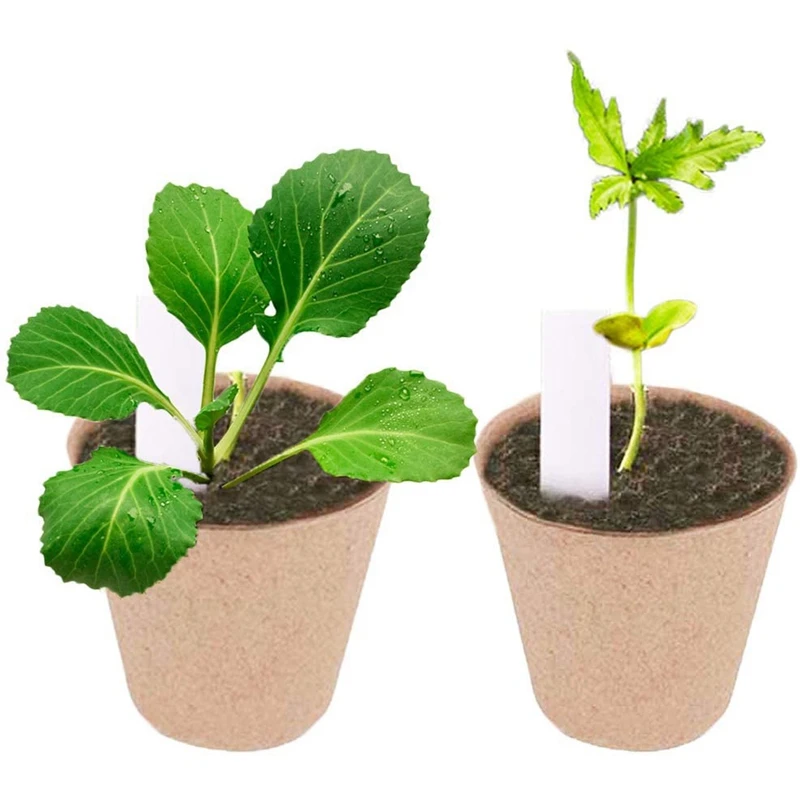 

100PCS Nursery Pot Environmental Protection Degradable Seedling Cup 8X8cm Paper Garden Supplies Household Tools