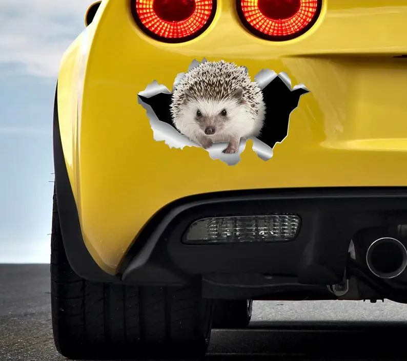 

Car decals Hedgehog sticker Forest animal sticker Planner stickers Cute sticker Funny decal Car sticker Hedgehog decals 208