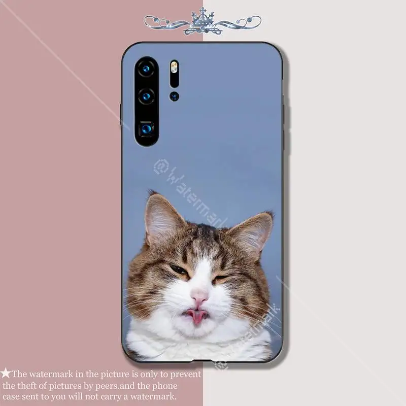 Забавный выражение кошка Роскошный чехол для мобильного телефона Huawei P 20 30 40 Lite Pro
