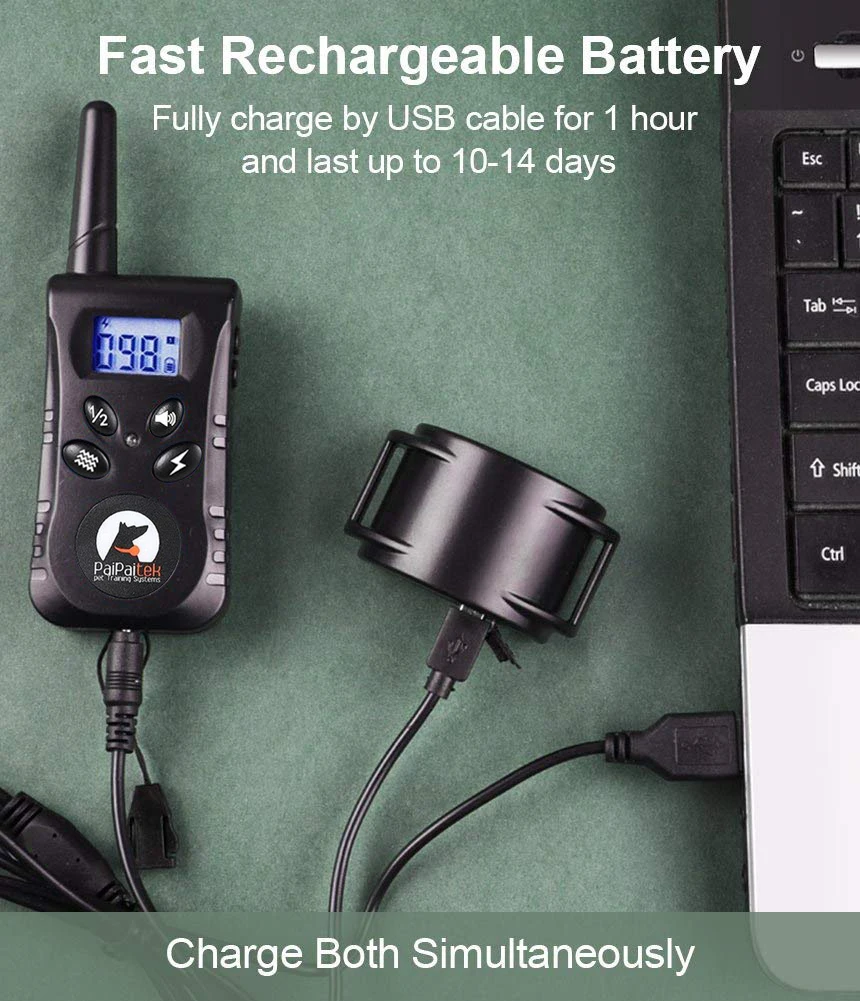 

Dog Equipment Anti-Bark Electronic Collar For Hunting Dogs