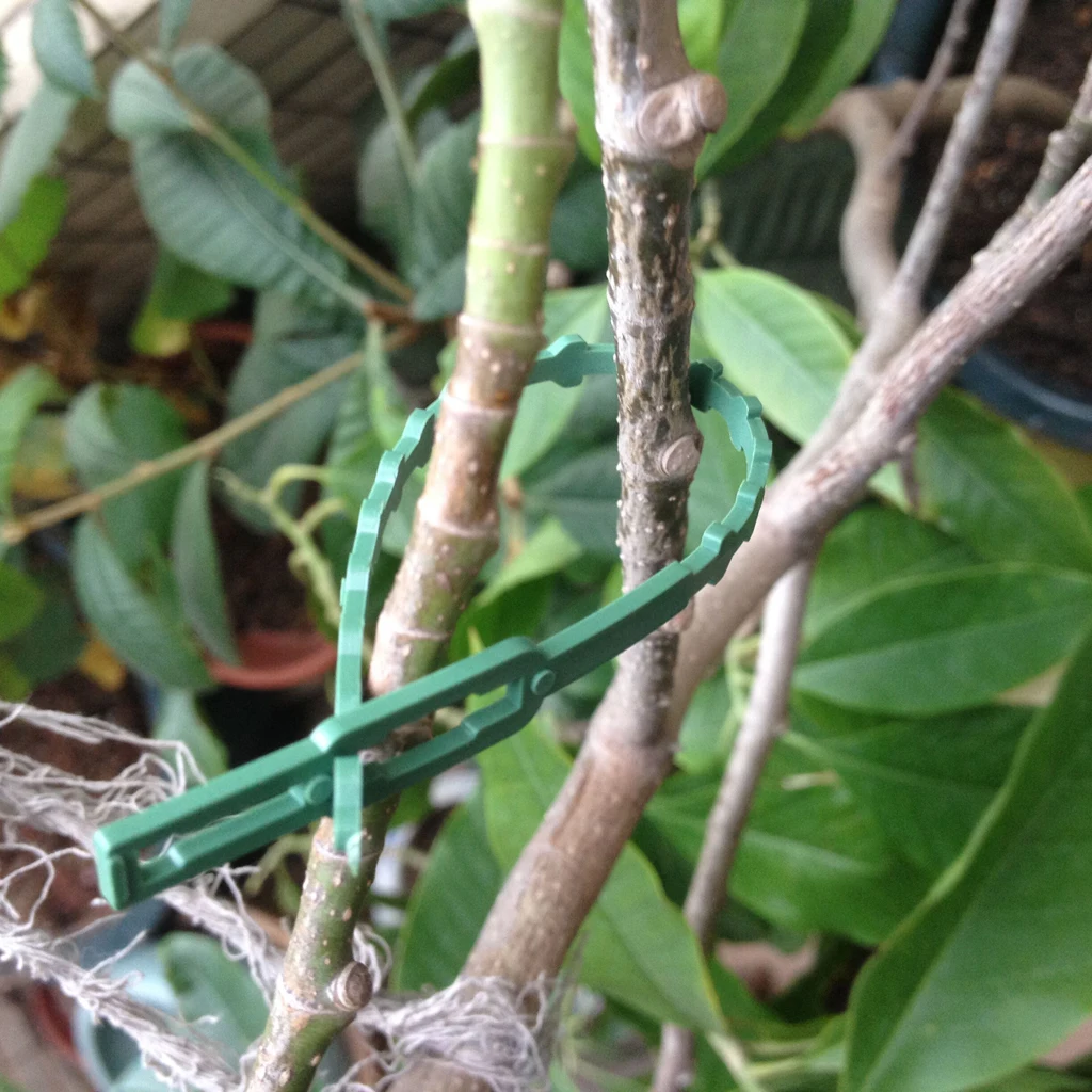 Пакет 30 шт пластиковые кабельные стяжки Садоводство крепления растений кусты