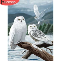 huacan full drill diamond painting 5d owl diy diamond art embroidery animal new arrival mosaic home decor sale