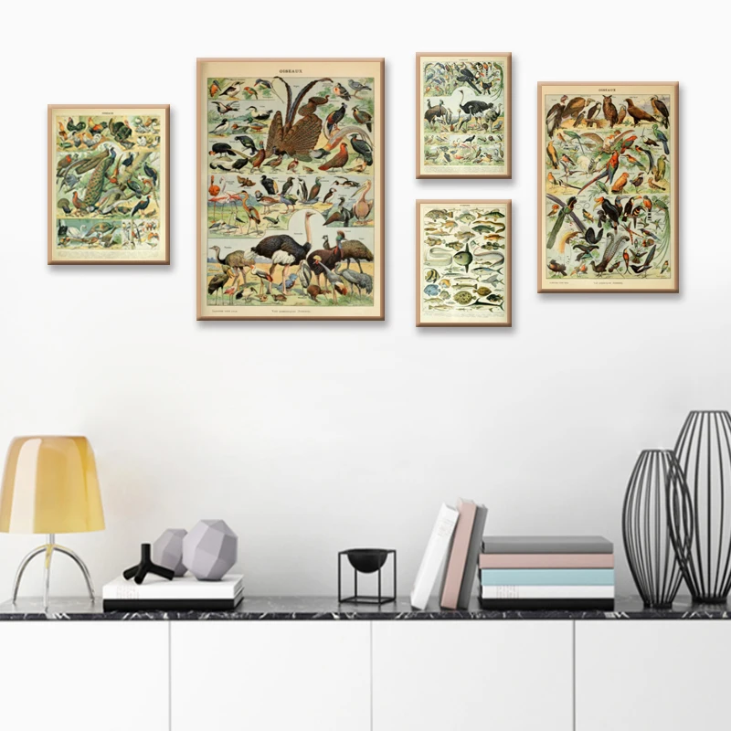 Винтаж птицы мех акварельные энциклопедии иллюстрация ретро постер Холст