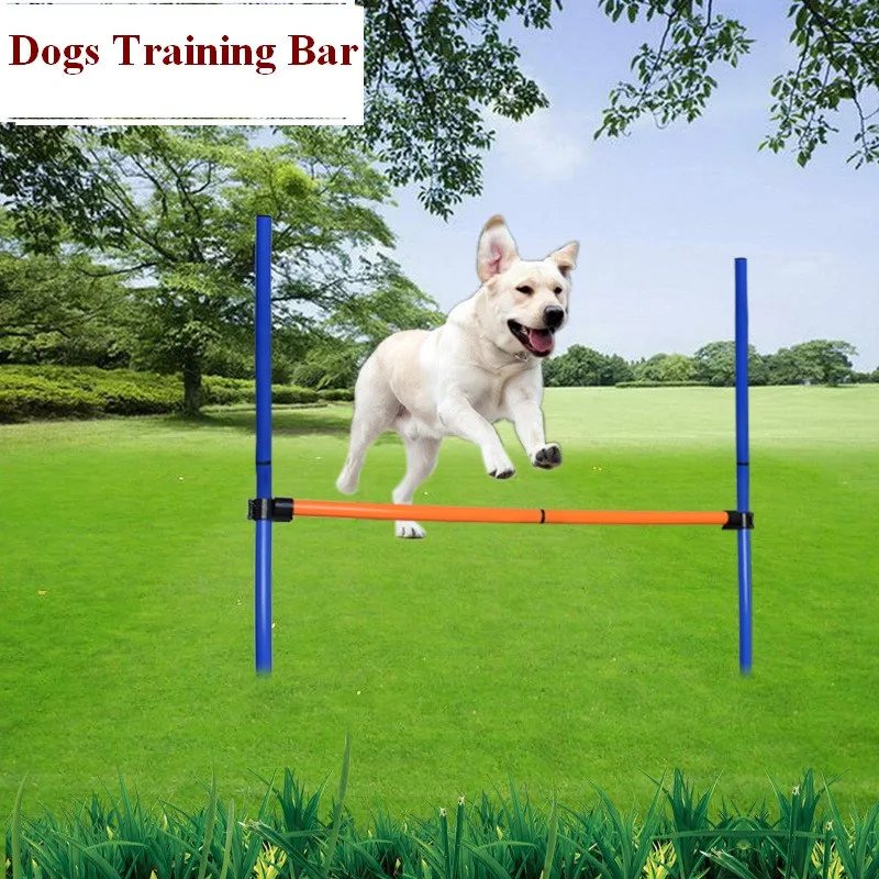 Conjunto de equipo de entrenamiento de agilidad para perros, Kit de entrenamiento de obst&aacute;culos, varillas de agilidad para perros, tren de salto, silbato, t&uacute;nel, bolsa de transporte-2