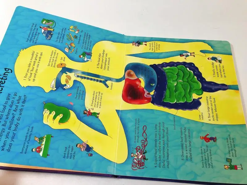 

Look inside Your Body English 3D Flap Book Children Educational Picture Books Baby Reading Book