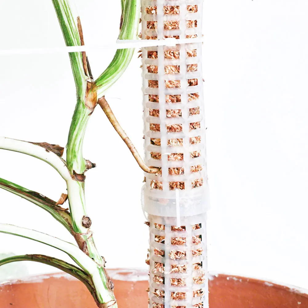 

Plant Growing Pole Moss Sticks Plastic Coconut Palm Stick Extension Support Poles Climbing Creepers Moss Gardening Pillar
