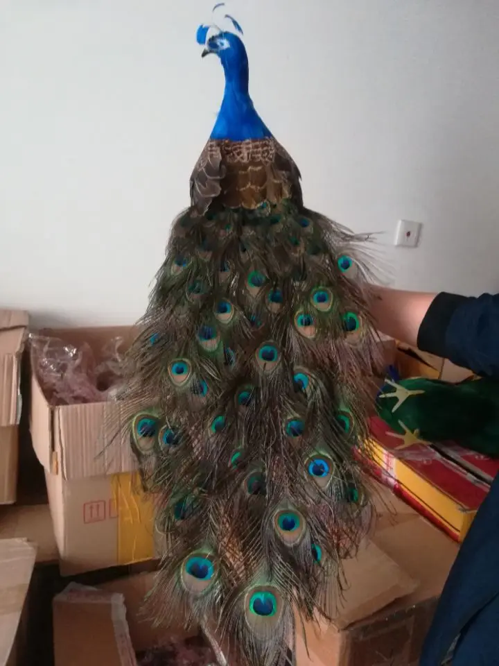 lovely real life peacock model foam& feather beautiful peacock bird gift about 80cm d0036