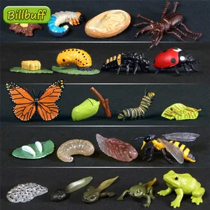 Имитация животных, фигурки из АБС-пластика, эволюция, этап, Бабочка, пчела, лягушка, черепаха, курица, набор игрушек для детей