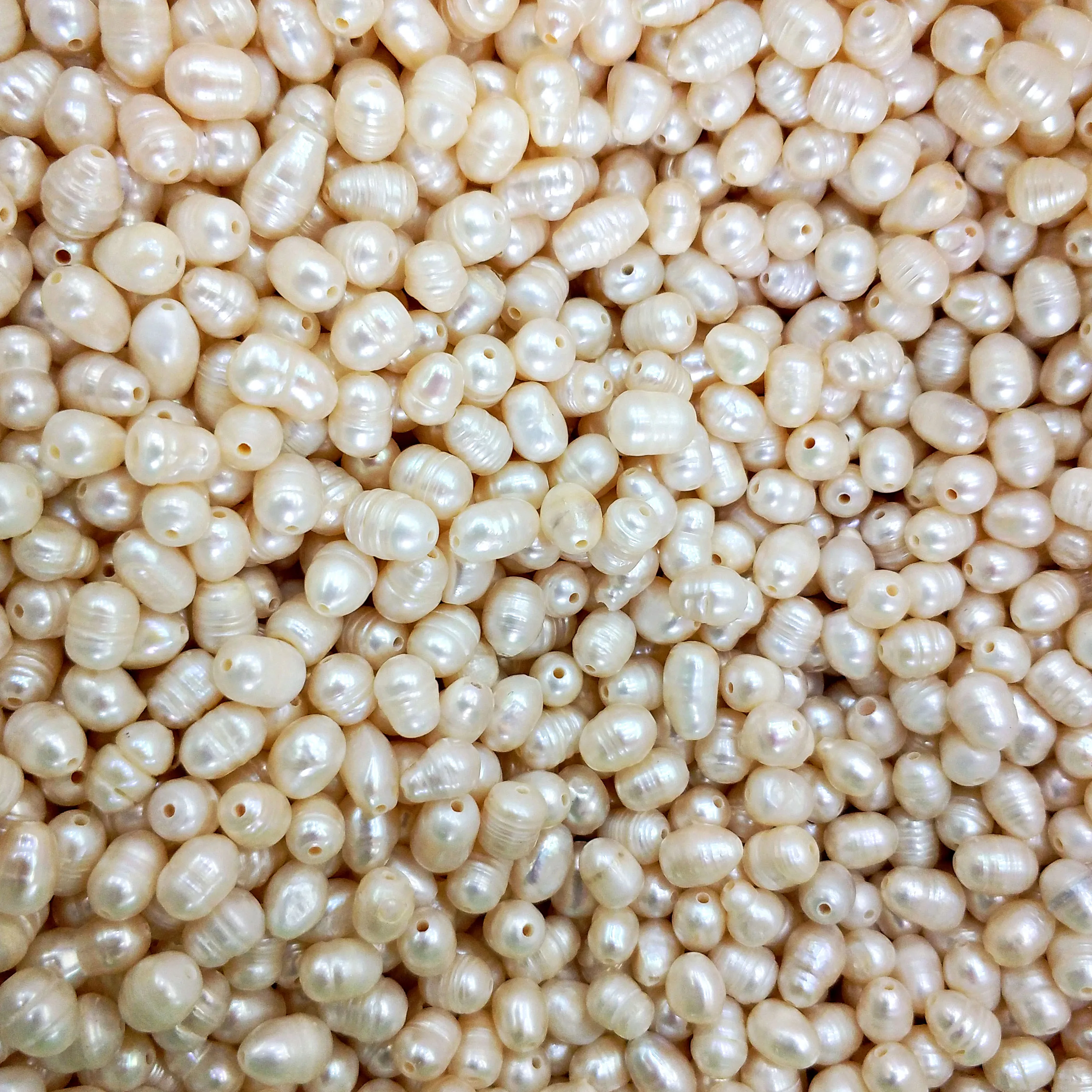 5 шт. индивидуально обернутые устрицы с большим жемчугом подарок на день