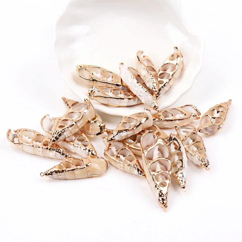 5 шт. спиральные ракушки для украшения дома|Ракушки и морские звезды| |