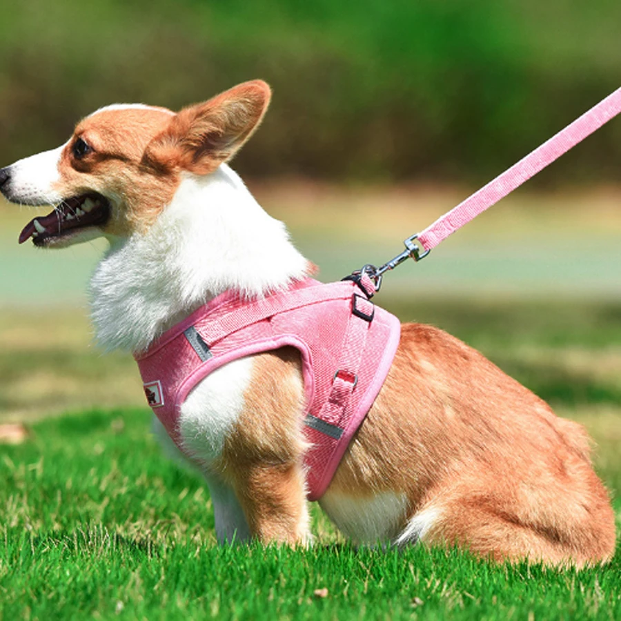 

Pet Harness Leash Set Adjustable Breathable Dog Cat Harnesses Vest Puppy Chest Strap Puppy Nylon Mesh Harness For Small Dog