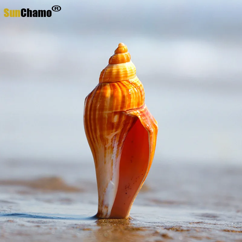 Новинка модное украшение для аквариума из натуральных ракушек красная морская