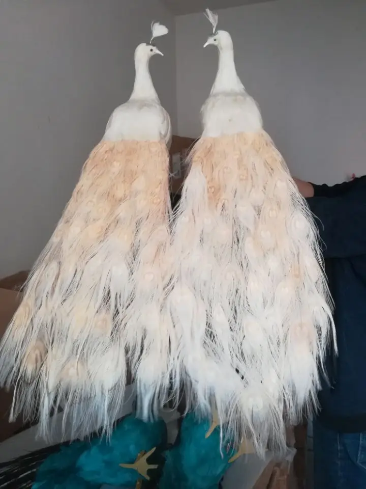 Un par de pavos reales blancos de la vida real modelo de espuma y pluma Pavo real p&aacute;jaro regalo alrededor de 80cm XD0069-0