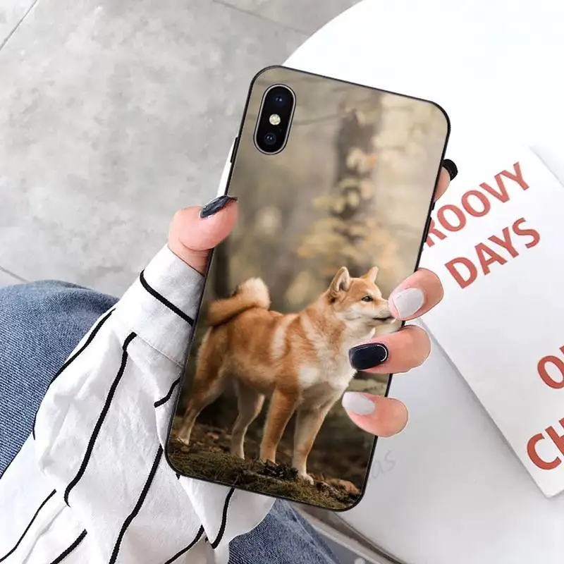

shiba inu cute dog animal Phone Case for iPhone 11 12 mini pro XS MAX 8 7 6 6S Plus X 5S SE 2020 XR