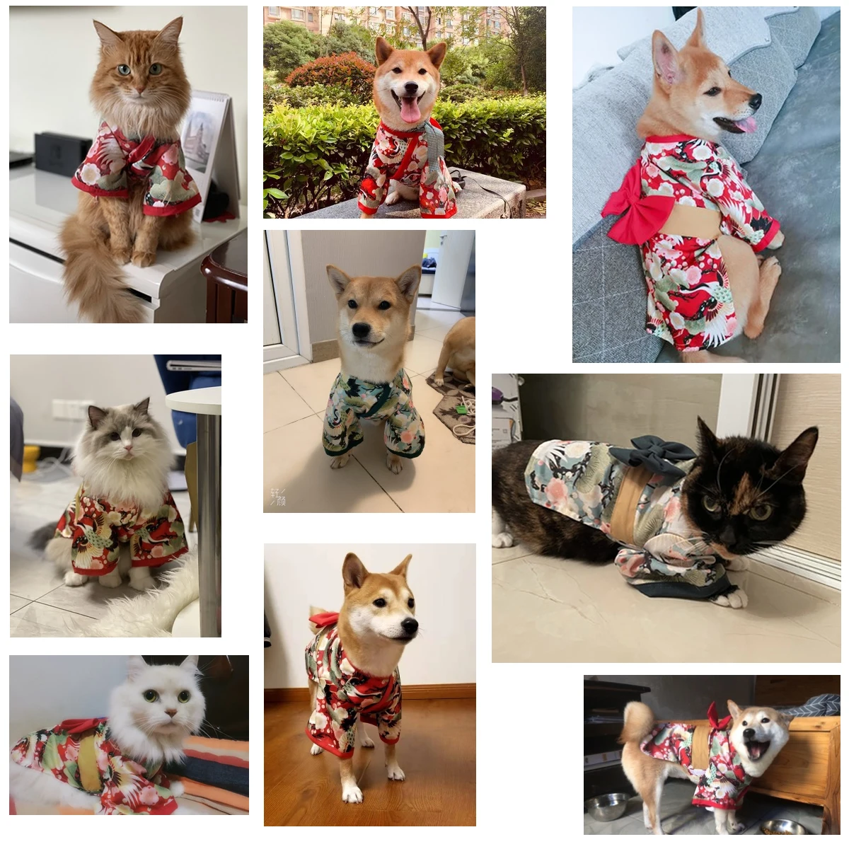 

Clothes for dog the Shiba Inu Clothes for the Akita Dog Costumes Japanese Kimono Style Spring and Summer