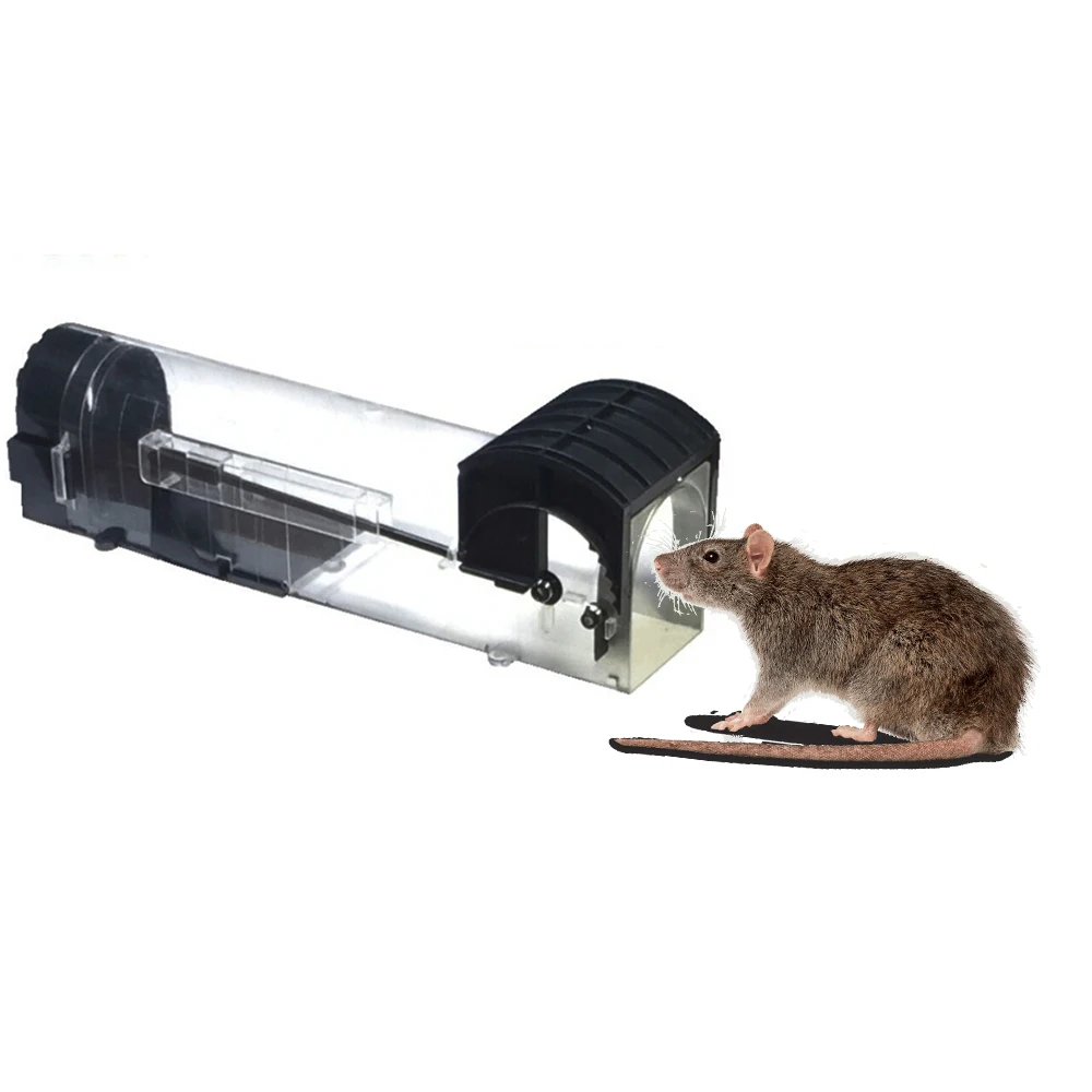 New material Nontoxic Rat Cage Catch Mice Rodent Control Bait Hamster Mouse Trap Transparent Humane Live Mousetrap |
