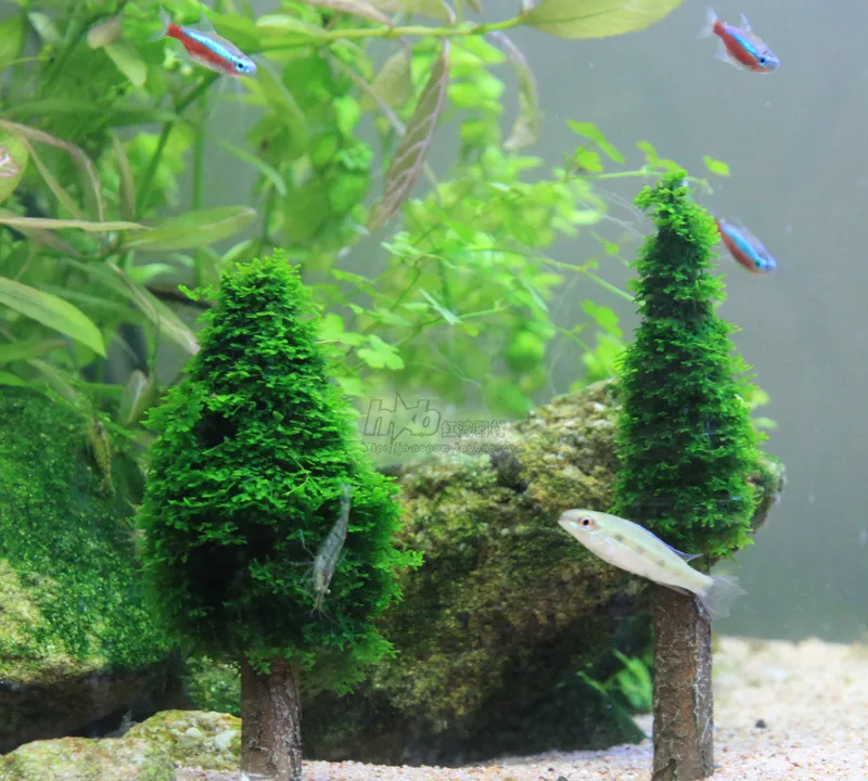 

ETB fish tank landscaping Moss tree Christmas tree fish tank decoration aquatic plant jungle landscaping fish tank