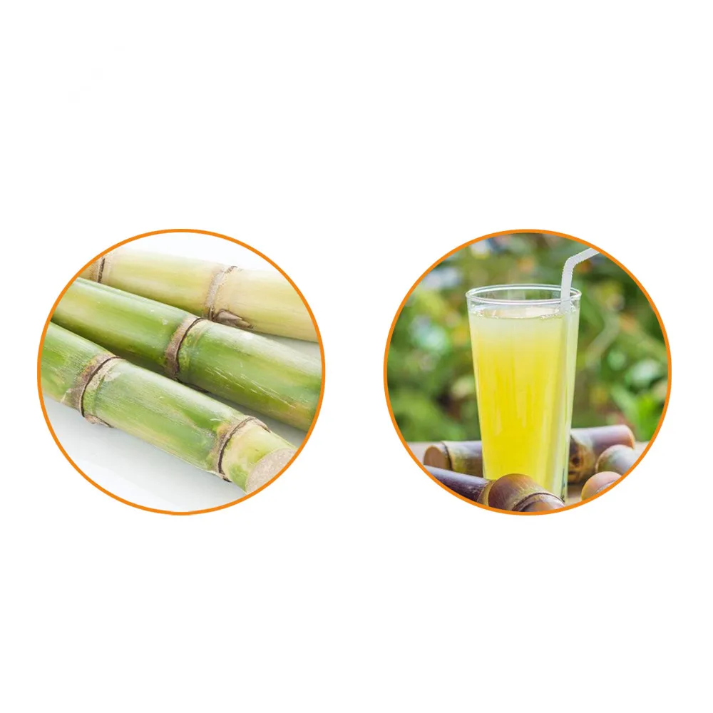 New Manual Sugar Cane Juicer Stainless Steel Sugarcane Machine | Бытовая техника