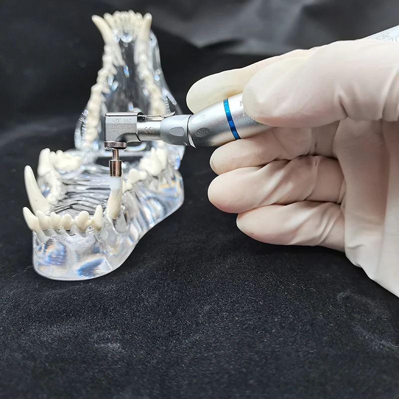 100 шт./коркор. Полировочная щетка для зубов полировщик нейлоновая щетина